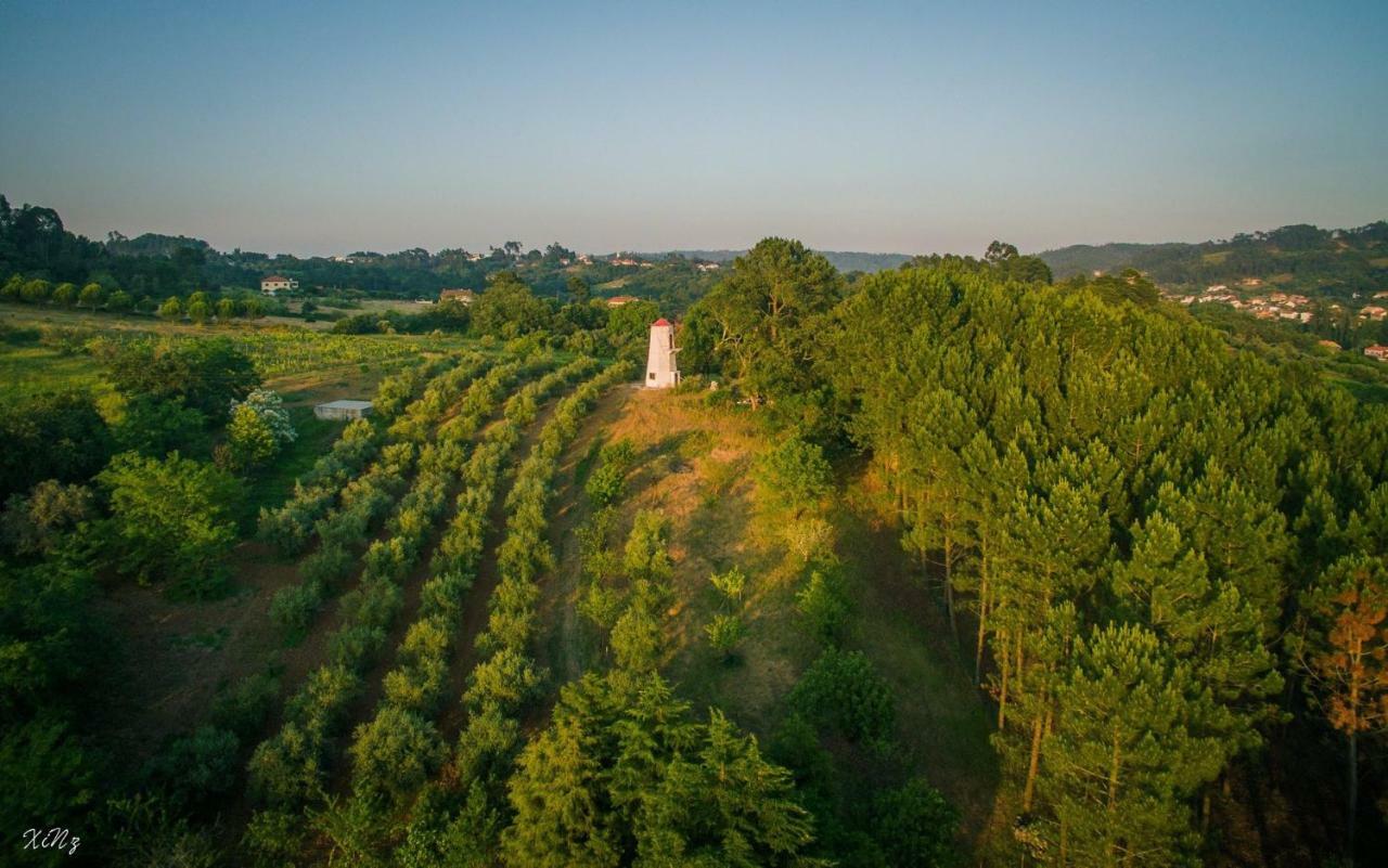 Vila Quinta Do Guerra Boldrarias Exteriér fotografie
